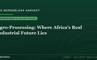 Agro-Processing: Where Africa’s Real Industrial Future Lies