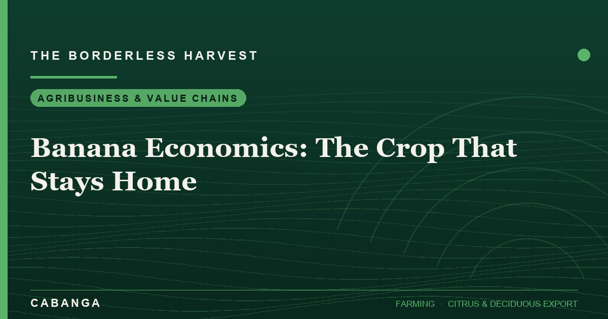 banana-economics-the-crop-that-stays-home