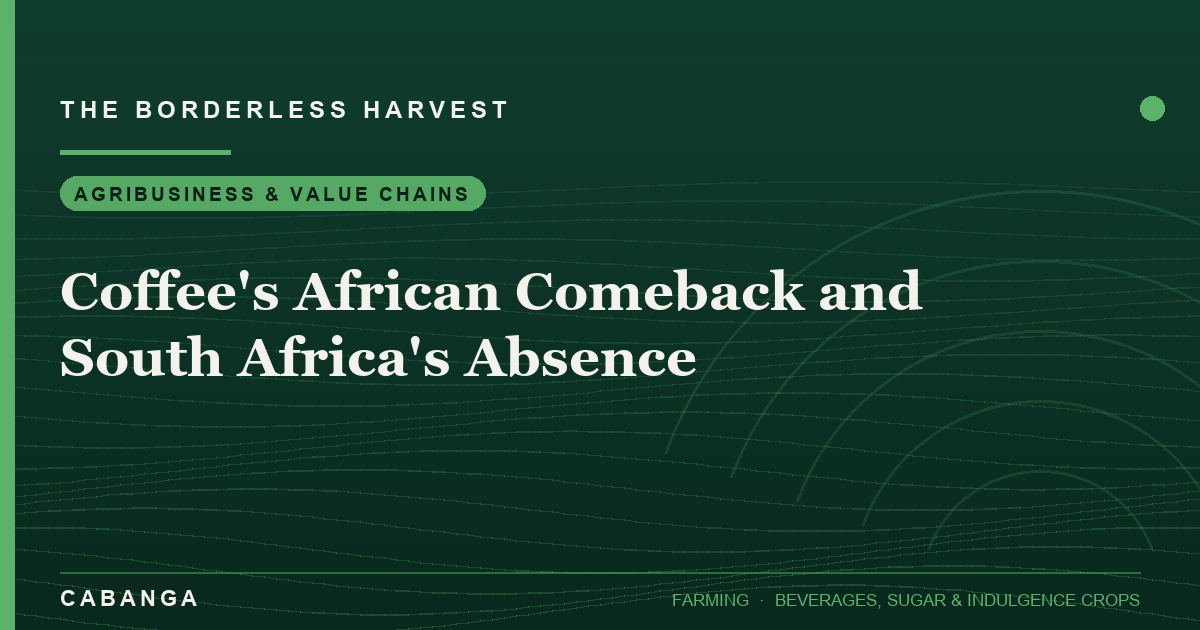 coffee-s-african-comeback-and-south-africa-s-absence