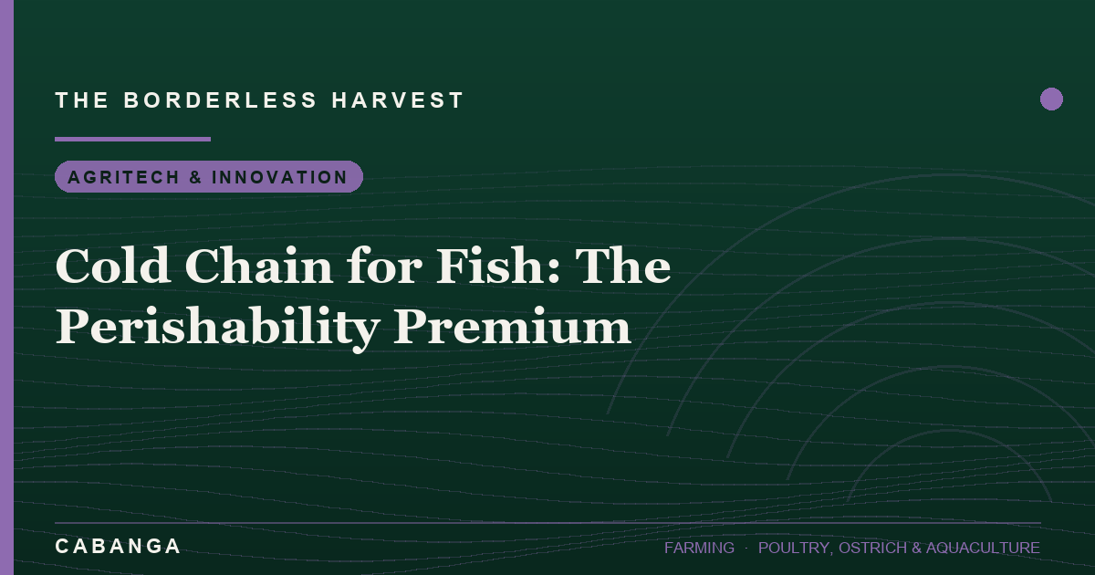 cold-chain-for-fish-the-perishability-premium