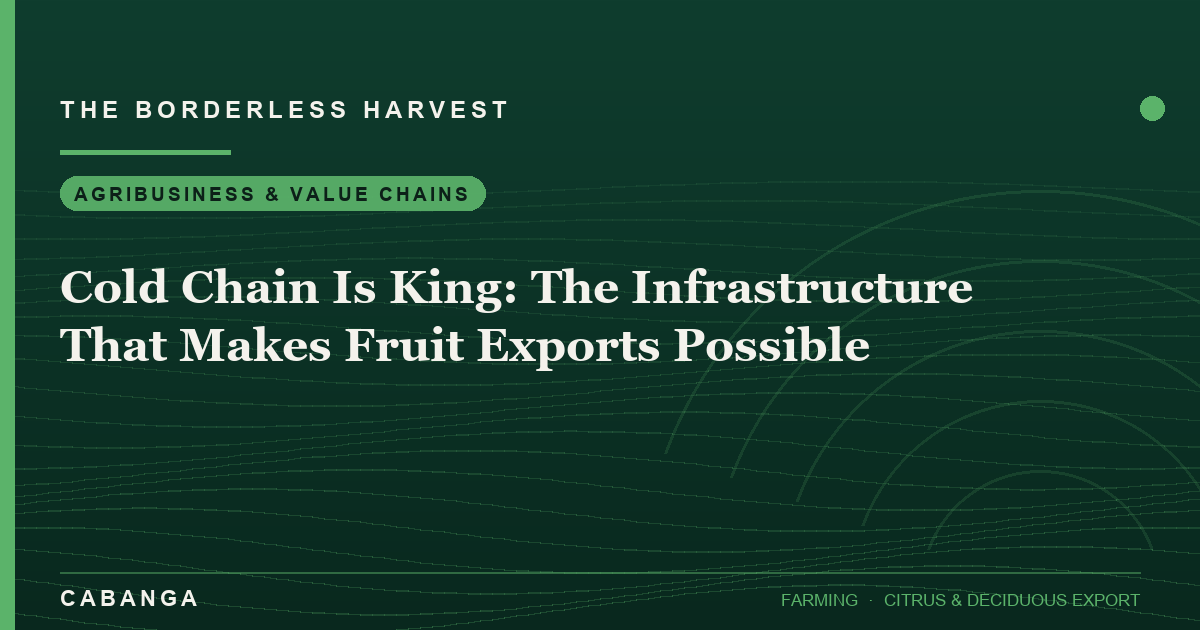 cold-chain-is-king-the-infrastructure-that-makes-fruit-exports-possible