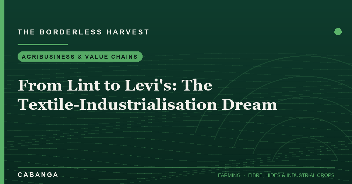 from-lint-to-levi-s-the-textile-industrialisation-dream