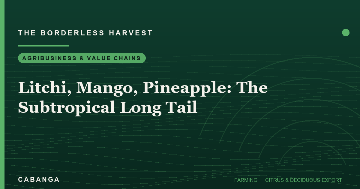 litchi-mango-pineapple-the-subtropical-long-tail
