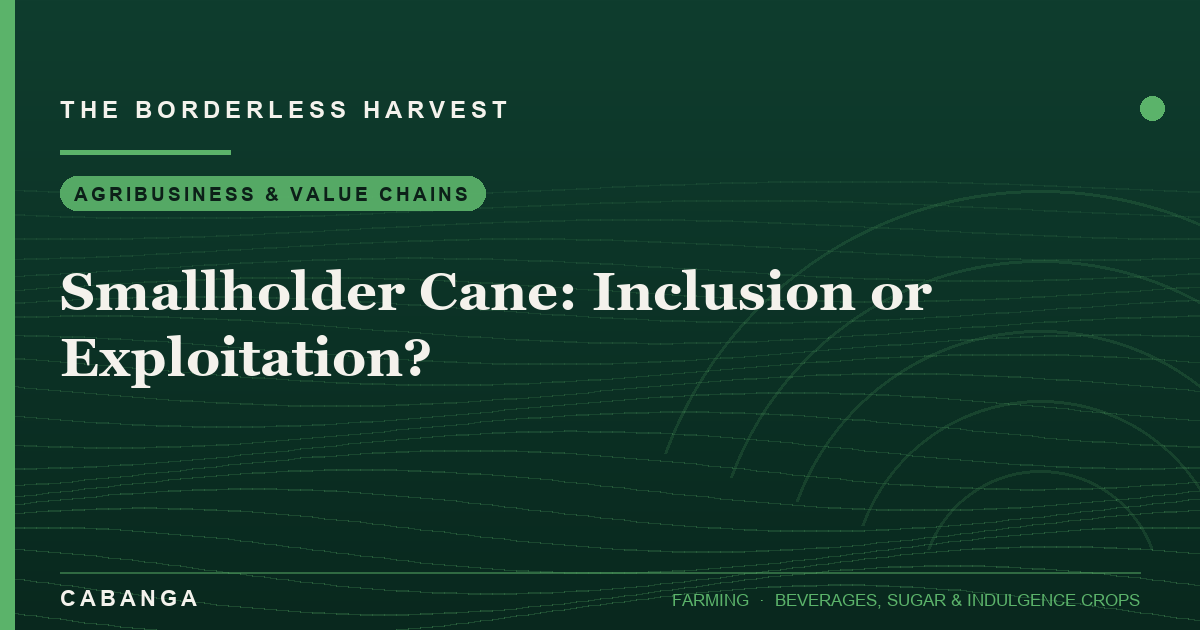 smallholder-cane-inclusion-or-exploitation