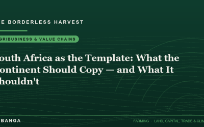 South Africa as the Template: What the Continent Should Copy — and What It Shouldn’t