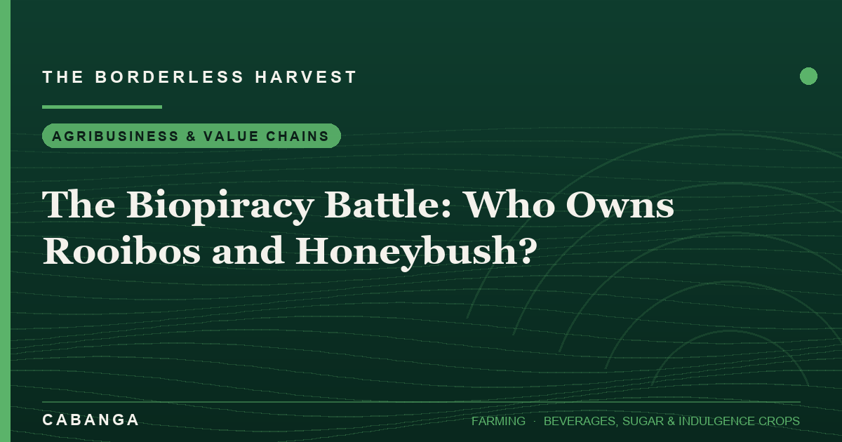 the-biopiracy-battle-who-owns-rooibos-and-honeybush