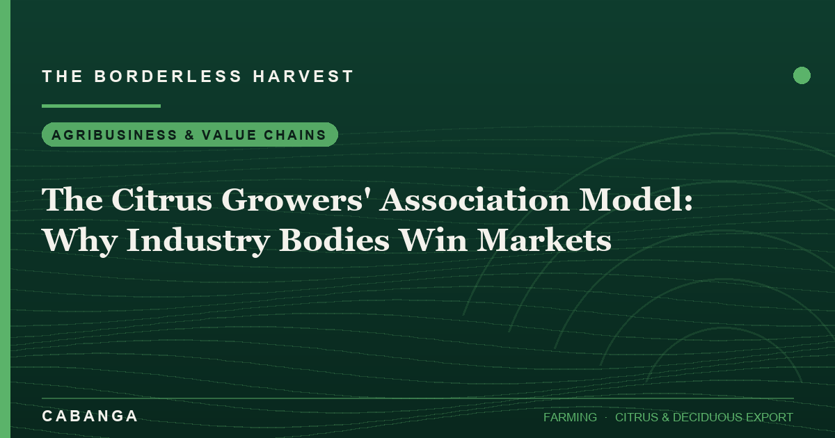 the-citrus-growers-association-model-why-industry-bodies-win-markets