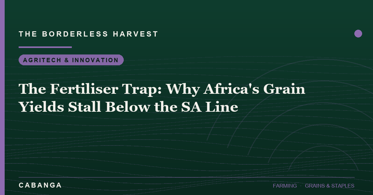 the-fertiliser-trap-why-africa-s-grain-yields-stall-below-the-sa-line