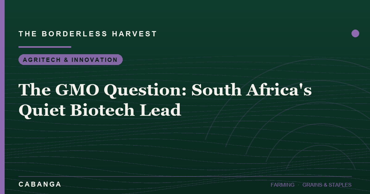the-gmo-question-south-africa-s-quiet-biotech-lead
