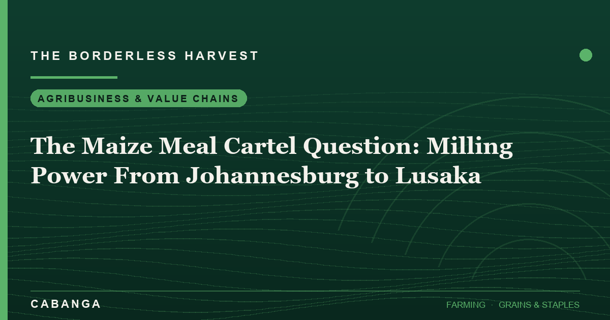 the-maize-meal-cartel-question-milling-power-from-johannesburg-to-lusaka