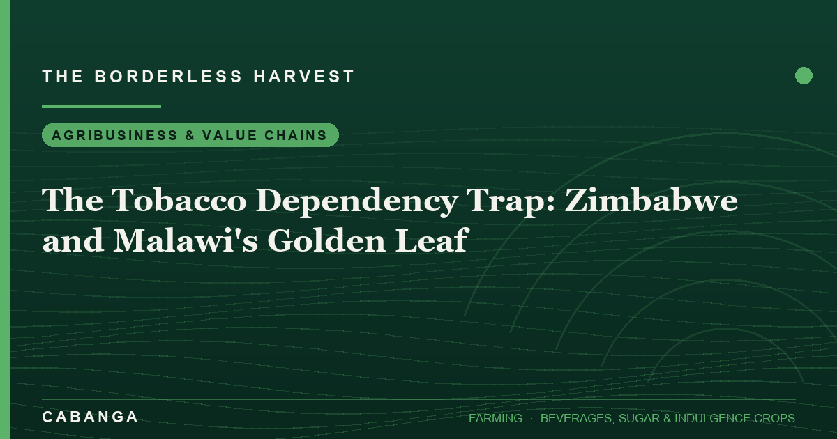 the-tobacco-dependency-trap-zimbabwe-and-malawi-s-golden-leaf