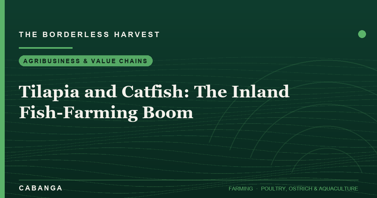 tilapia-and-catfish-the-inland-fish-farming-boom