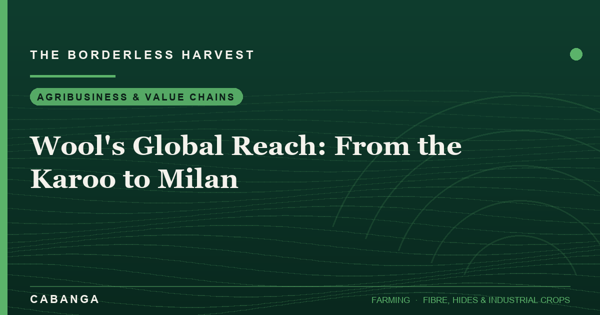 wool-s-global-reach-from-the-karoo-to-milan